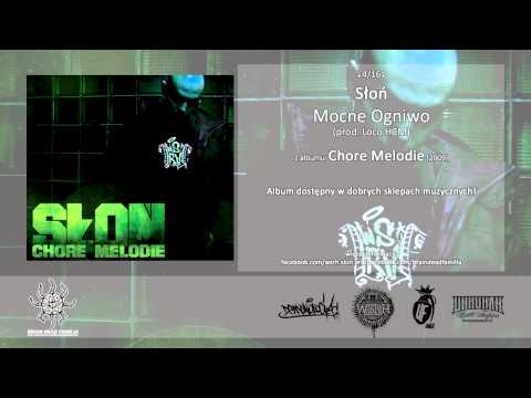 04. Słoń - Mocne Ogniwo (prod. Loco HCM)