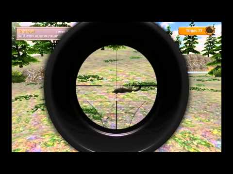 Animal Hunter 3D Video