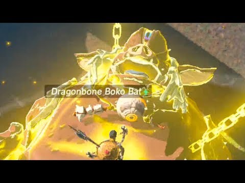 Zelda: Breath of The Wild [100%] - All Shrines - Faron Region