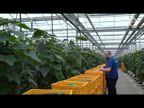 GLD Nieuws 17 oktober 2019 - Donderdag 17 oktober