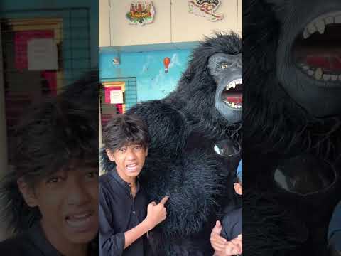 Panda ka phone tut #shorts