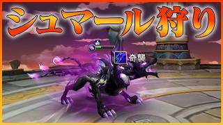 流行のシュマールをしっかり対策【サマナーズウォー】