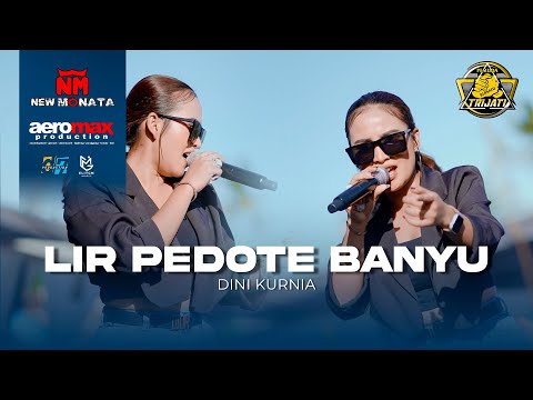 LIR PEDOTE BANYU - Dini Kurnia ( NEW MONATA LIVE ANNIVERSARY KE 7 PEMUDA TRIJATI )