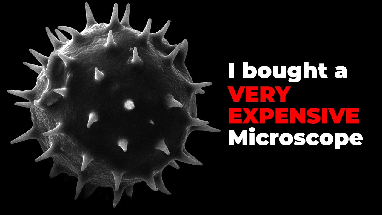 My ELECTRON MICROSCOPE - 250'000x.