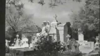 Avulsed   Powdered Flesh