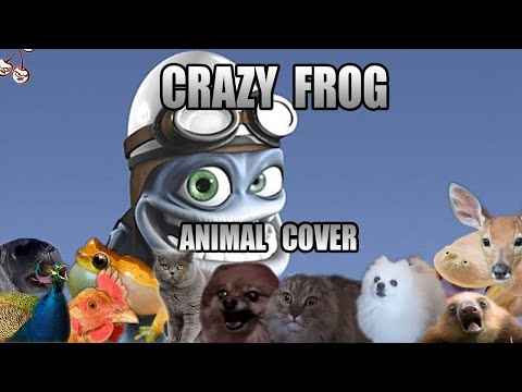 Crazy Frog - Axel F (Animal Cover)