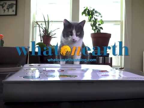 Laptop Cat Scratch Pad