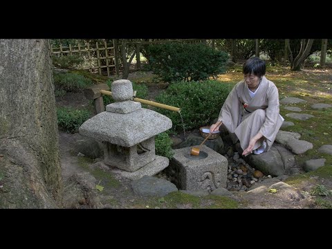 Tour virtual pela casa de chá e jardins japoneses, Saginaw, MI.
