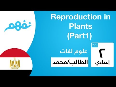 Reproduction in Plants (Part 1)  العلوم لغات - الصف الثاني الإعدادي - الترم الثاني - نفهم