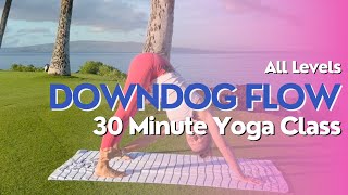 Downdog Focused Yoga Class - 30 Minute Yoga Class