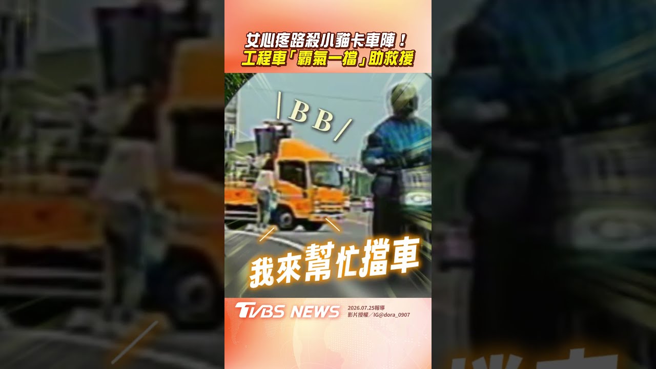 影音／善心女心疼路殺小貓卡車陣　工程車大哥「霸氣一擋」助救援