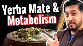 Yerba Mate for Beginners | Does Yerba Mate Promote Visceral Fat Loss?