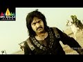 Shakti Movie Jr NTR Introduction As Rudhra Jr NTR Ileana Sri Balaji Video