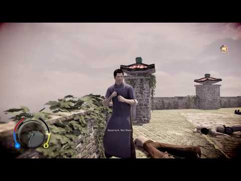 Sleeping dogs: Ip man vs. Zodiac island