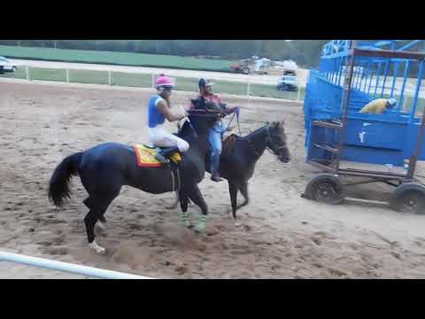 EL PELUCHIN C.61 VS EL JL C.MONTOYA