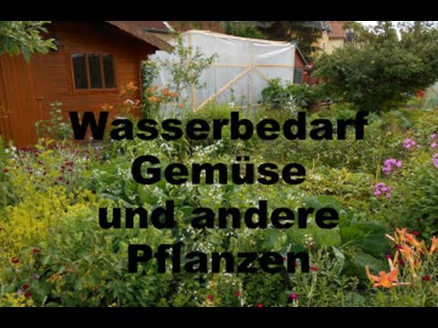 , title : 'Webinar: Wasserbedarf im Gemüseanbau'