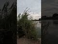 channel