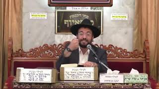 הרב מיכאל רביע | פרשת כי תצא | מוסאיוף | תשפ"ג