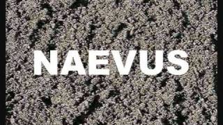 Naevus - Bloody Ground, Fertile Land