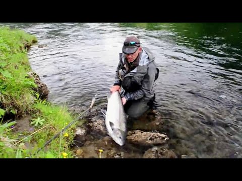 To fight the Big fish!