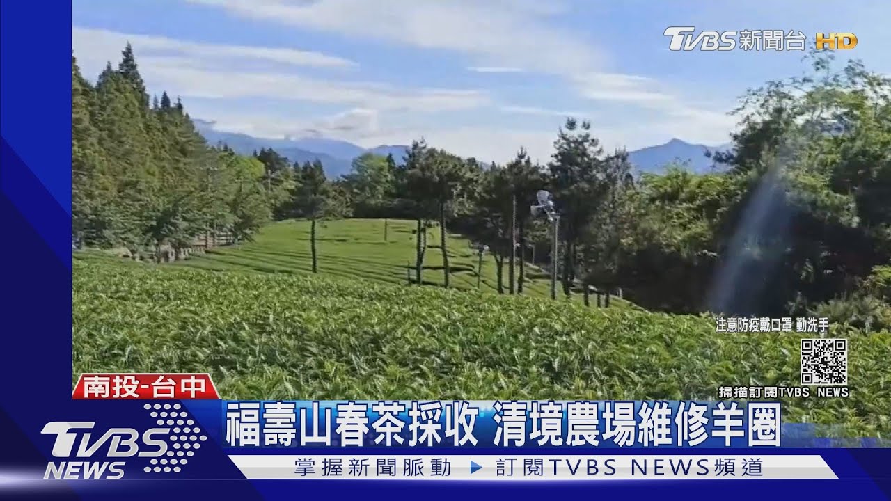 不能上山!武陵農場宅配水蜜桃 爆單