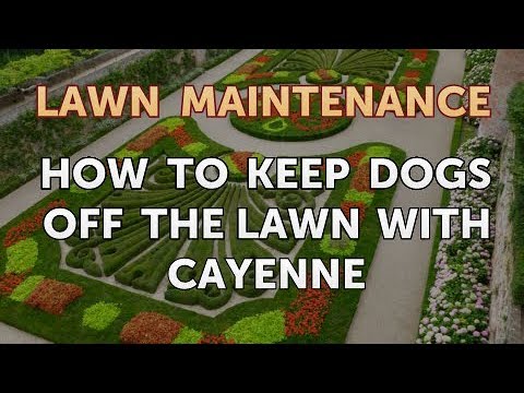 How to Keep Dogs Off the Lawn With Cayenne