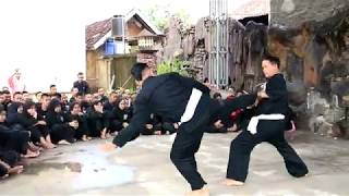 Download lagu ATRAKSI PERGURAN PENCAK SILAT PSHT LOMBOK TIMUR, MEMUKAU !!! mp3 Download lagu ATRAKSI PERGURAN PENCAK SILAT PSHT LOMBOK TIMUR, MEMUKAU !!! mp3