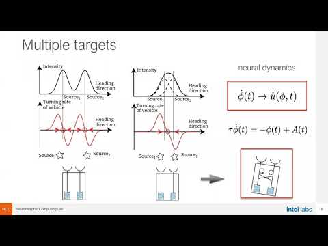 VSAONLINE. SS21. Yulia Sandamirskaya