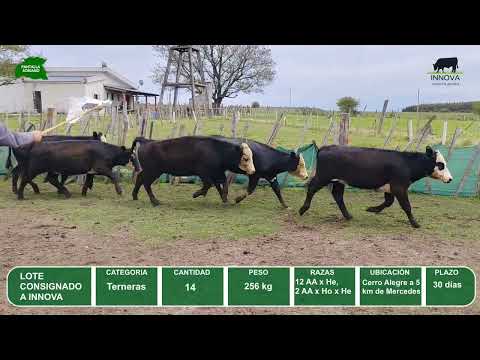 Video del lote L0-000837