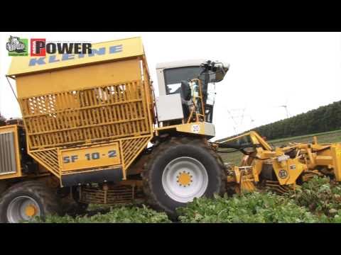 download lagu mp3 mp4 Kleine Bietenrooier, download lagu Kleine Bietenrooier gratis, unduh video klip Kleine Bietenrooier