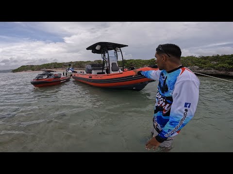 Dinghy Zodiac Pro model 6.5