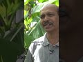 Een jungle in je voortuin en dat gewoon in Assen! #banaan #drenthe #planten