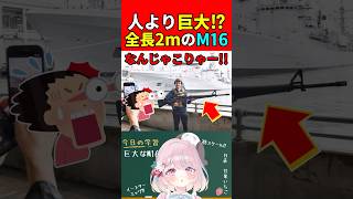 【実銃解説】全長2m!?人間より巨大!!"M16"『イラク戦争初期のあの姿で登場!!』【BF6:Battlefield6】#shorts #bf6 #銃