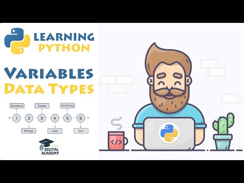 Data Types In Python Number String List Dictionary Tuple Set Overview Python For Beginners
