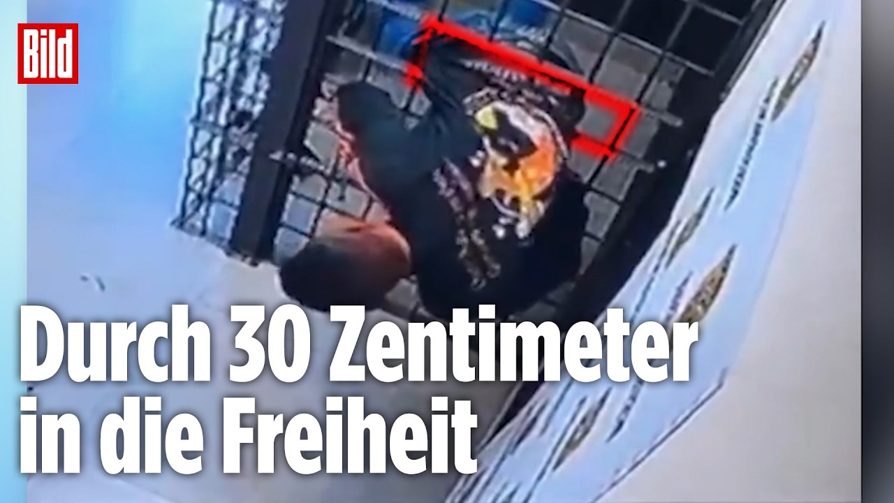 Zirkusreifer Gefängnisausbruch in Brasilien: Gewalttäter quetscht sich durch Öffnung in Zelle
