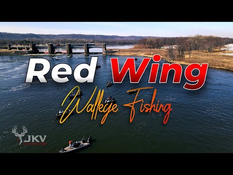 NON-STOP ACTION! Fall Walleye Fishing | Red Wing Dam Pool 4, Mississippi River | 2022