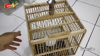 Download lagu Cara membedakan burung branjangan jantan dan betina, cara mudah menjinakkan branjangan liar mp3 Download lagu Cara membedakan burung branjangan jantan dan betina, cara mudah menjinakkan branjangan liar mp3