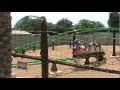 Sesame Street Safari Of Fun At Busch Gardens Africa