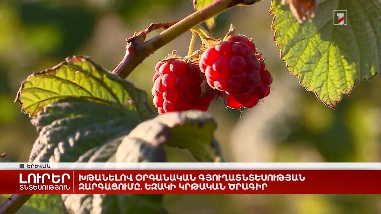 Խթանելով օրգանական գյուղատնտեսության զարգացումը. եզակի կրթական ծրագիր