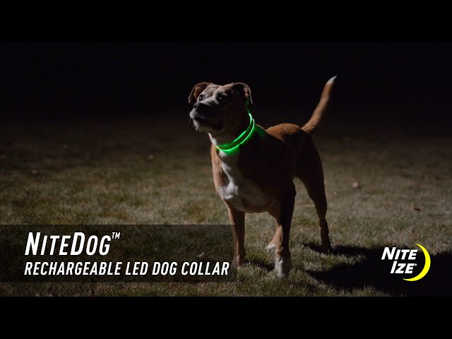 NiteDog™ Recha...