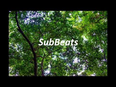 Lulu James - Closer (Kidnap Kid Remix)