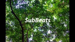 Lulu James - Closer (Kidnap Kid Remix)