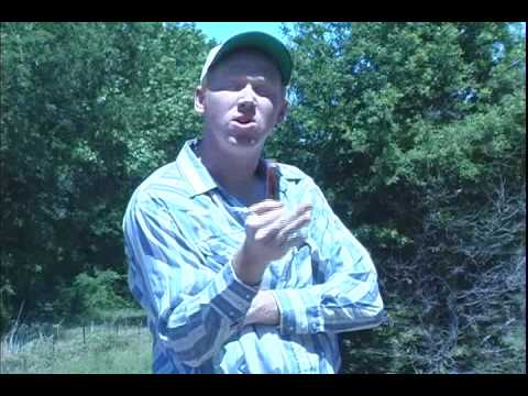 Deep Thoughts by B. David Vos - Mankind