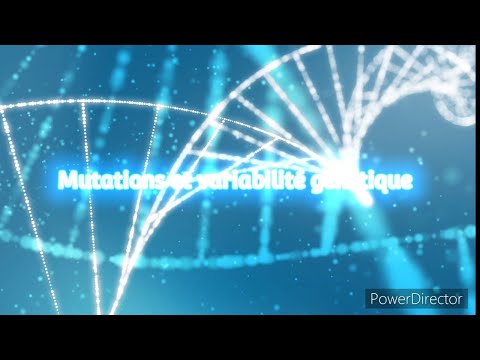 Sciences de la vie et de la terre: Mutations et variabilité génétique
