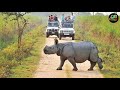 Assamese Song 2021 Assam Beautiful Status Romantic Song Nature And Weather Razza Creation