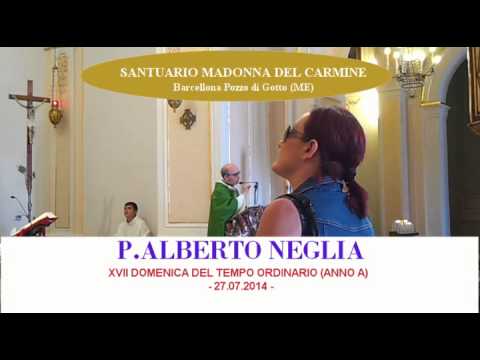 Omelia P.ALBERTO NEGLIA - 27.07.2014 -