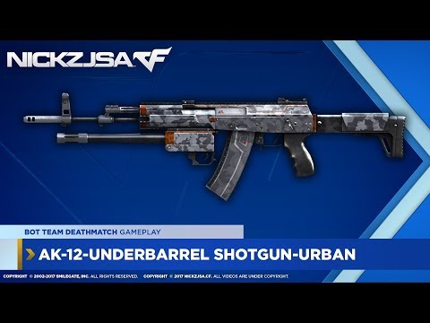 AK-12-Underbarrel Shotgun-Urban | CROSSFIRE China 2.0