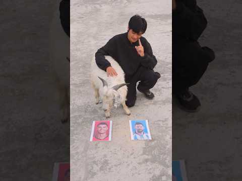 GOAT Chooses ROLANDO or MESSI