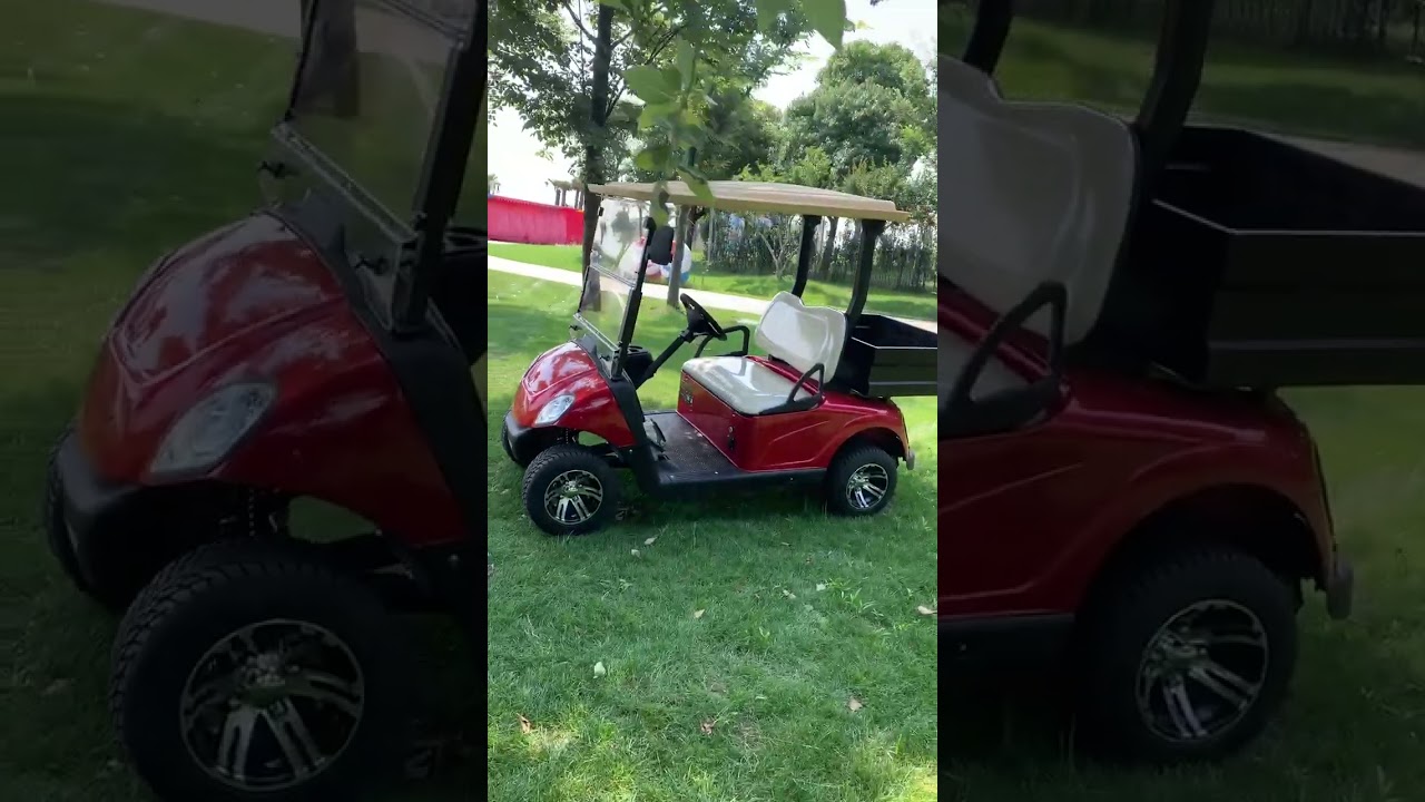 Adorável Carrinho de Golfe de Dois Lugares