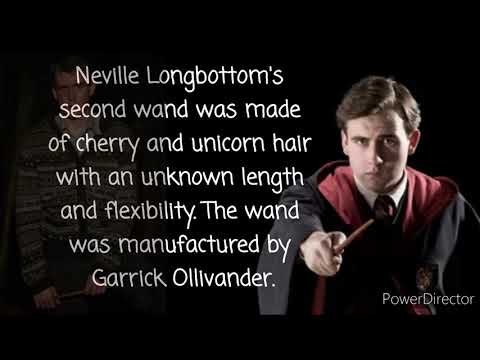 Top 20 Harry Potter Wands